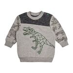  Світшот дитячий 3ДВ010, image 1 