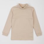  Гольф (водолазка) утеплений з начосом 3ЛН133, image 1 