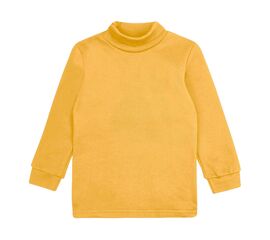  Гольф (водолазка) утеплений з начосом 3ЛН133, image 1 