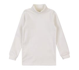  Гольф (водолазка) утеплений з начосом 3ЛН133, image 1 