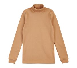  Гольф (водолазка) утеплений з начосом 3ЛН133, image 1 