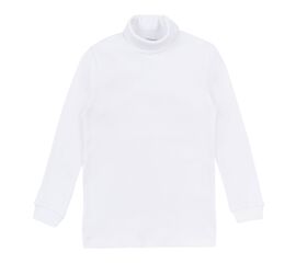  Гольф (водолазка) утеплений з начосом 3ЛН133, image 1 