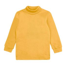  Гольф (водолазка) утеплений з начосом 3ЛН133, image 1 