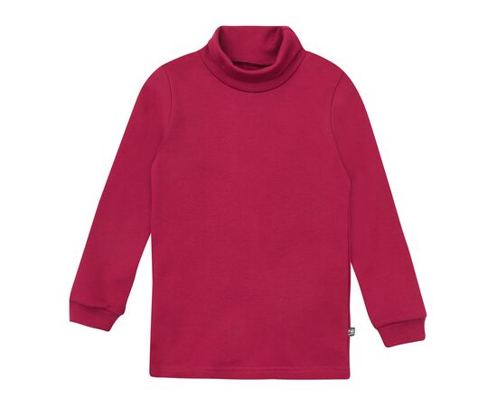  Гольф (водолазка) утеплений з начосом 3ЛН133, image 1 