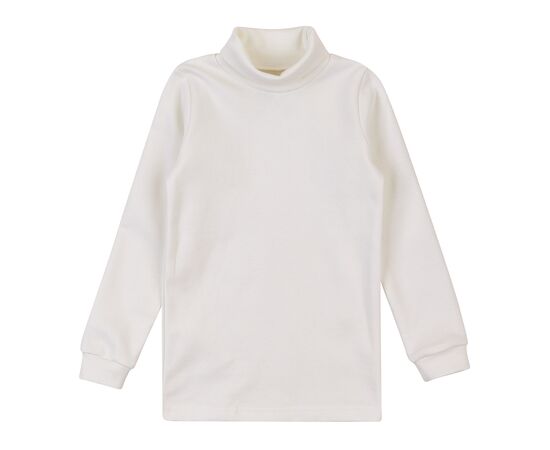  Гольф (водолазка) утеплений з начосом 3ЛН133, image 2 