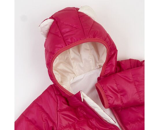  Демісезонний комбінезон дитячий з утеплювачем 8ПЛ066, image 6 