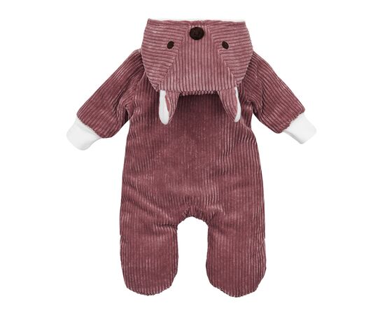  Демісезонний чоловічок (комбінезон) з утеплювачем (синтепон) га флісі дитячий 8ВВ060, фото 4 