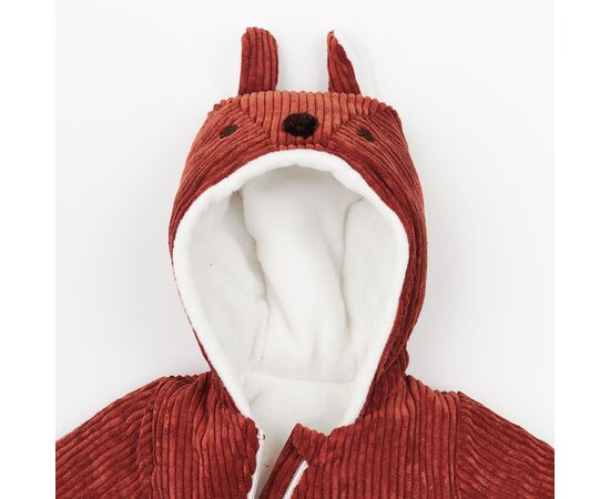  Демісезонний чоловічок (комбінезон) з утеплювачем (синтепон) га флісі дитячий 8ВВ060, фото 6 