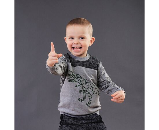  Світшот дитячий 3ДВ010, image 4 