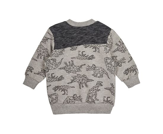  Костюм (світшот + штани) дитячий К2ДВ001, фото 6 