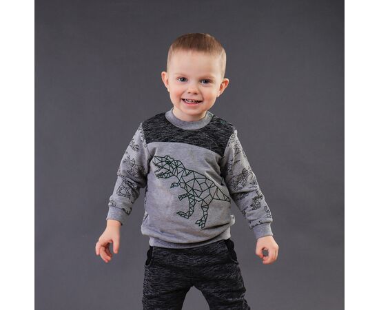  Світшот дитячий 3ДВ010, image 5 