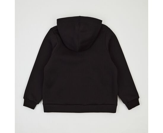  Толстовка утеплена дитяча 2ТФ104, image 2 