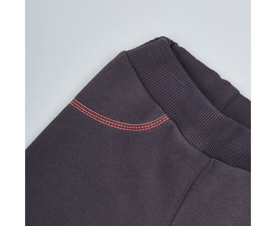  Спортивні штани утеплені з начосом дитячі10Т02, image 3 