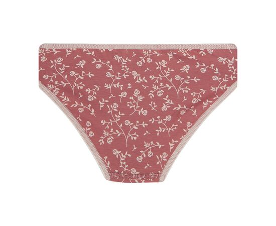  Набір труси-сліпи (3 шт) дитячий К12СК110, image 5 