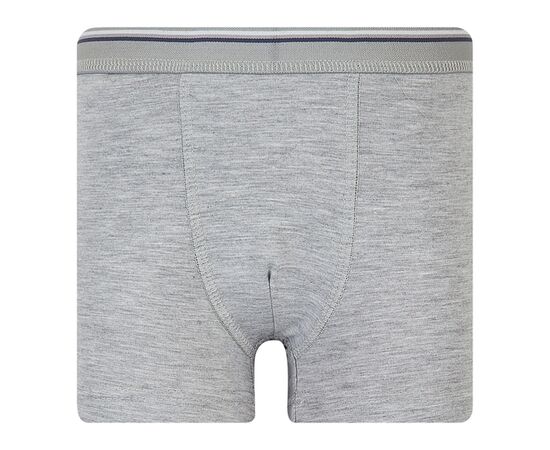  Набір труси-боксери (3 шт) дитячий К12СК113, image 8 