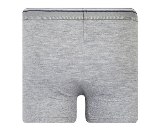  Набір труси-боксери (3 шт) дитячий К12СК113, image 9 