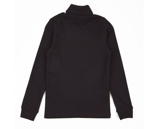  Гольф (водолазка) утеплений з начосом 3ЛН133, image 2 