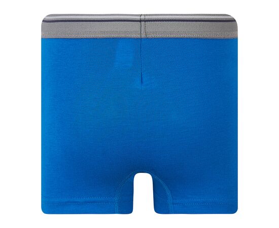  Труси-боксери дитячі 12БК115, image 4 