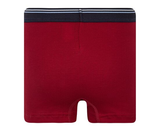  Труси-боксери дитячі 12БК115, фото 4 