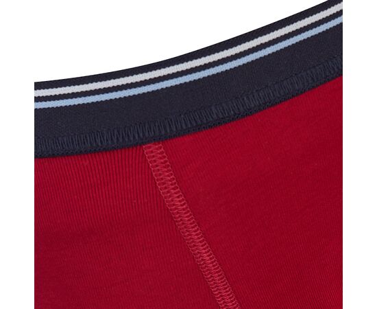  Труси-боксери дитячі 12БК115, image 5 