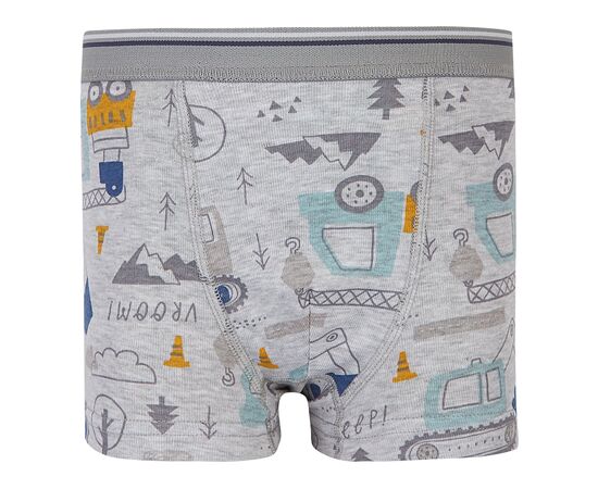  Труси-боксери дитячі 12БК115, image 3 