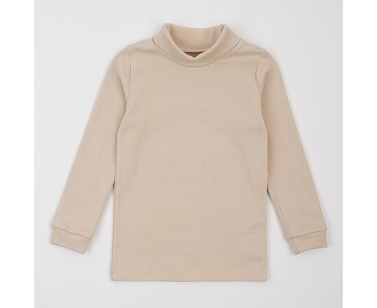  Гольф (водолазка) утеплений з начосом 3ЛН133, фото 1 