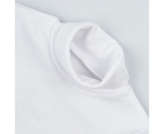  Гольф (водолазка) утеплений з начосом 3ЛН133, фото 3 