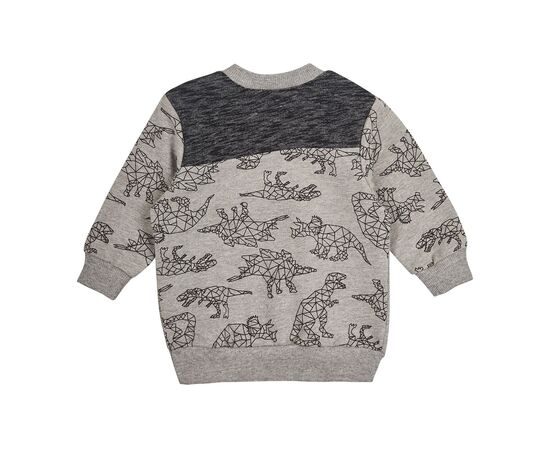  Костюм (світшот + штани) дитячий К3ДВ001, image 3 