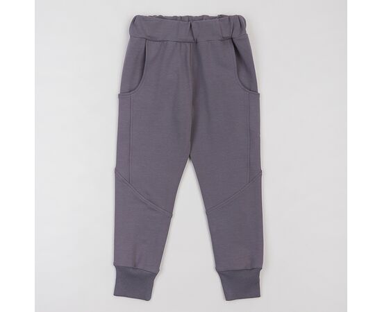  Спортивні штани дитячі 10ДВ127, image 1 