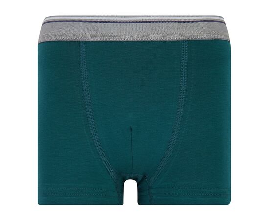  Набір труси-боксери (2 шт) дитячий К12СК116, фото 4 